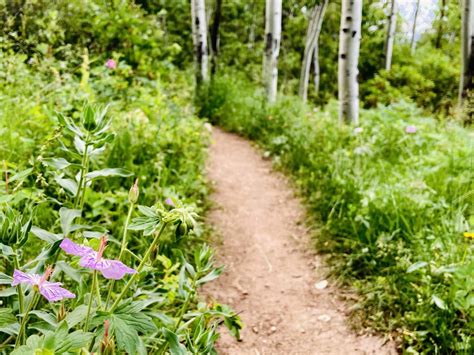 Indian Creek Trailhead
