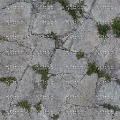 Exterior Stone Tile Flooring with Grass - Top Texture