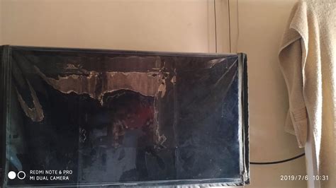 Stylista Transparent 42 inches LED/LCD tv Cover : Amazon.in: Home & Kitchen