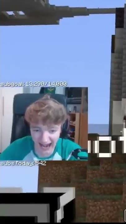 Image result for Technoblade Minecraft