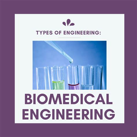 Different Types of Biomedical Engineering 的图像结果