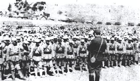 高平围歼战：越军炸毁大坝拖延解放军，吴忠徒步70公里，杀进高平