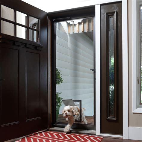 Black storm door with dog door online