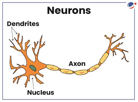BRAIN-COMPUTER INTERFACE (BCI) | Current Affairs | Vision IAS