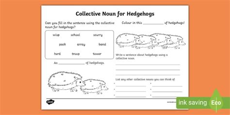Collective Noun - Hedgehogs Worksheet (teacher made)