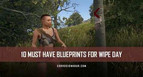 Image result for Blooprint Rust Wipe Day