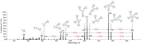A Novel Strategy for Unveiling Spatial Distribution Pattern of ...