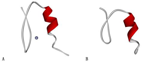 Stability and Folding Behavior Analysis of Zinc-Finger Using Simple Models
