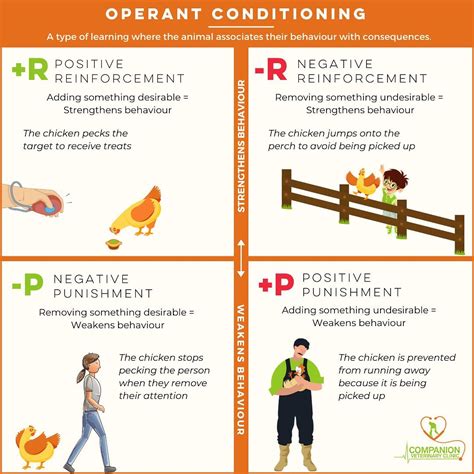 Image result for Quadrants of Operant Conditioning