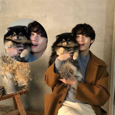 BTS’ V aka Kim Taehyung is a doting dad to Teacup Pomeranian, Yeotan ...