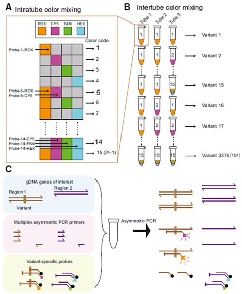 Chest Colorizer 的图像结果
