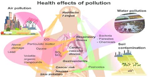 EFFECTS OF POLLUTION ON HEALTH| AIR, WATER AND LAND POLLUTION [1 min read]