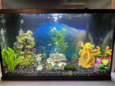 My first tank, 29 gal freshwater. Any ideas to make to even better? : r ...