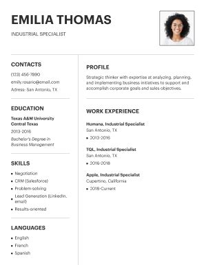 Financial Modeling Resume Template - Blank Fillable Template | Fill Out ...