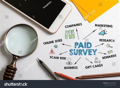 Paid Surveys 的图像结果
