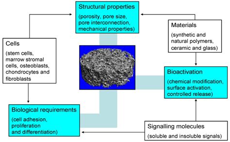 Bioactive Glass and Glass-Ceramic Scaffolds for Bone Tissue Engineering