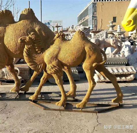 玻璃钢仿真骆驼雕塑 户外广场动物造型摆件 - 知乎