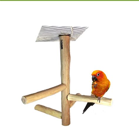 BIRDTOYZ Natural Wood Bird Perch Stand, Hanging Multi Branch Perch for ...