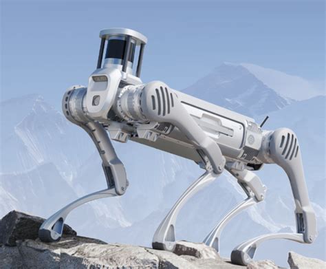 UniTree B2 Robot 的图像结果