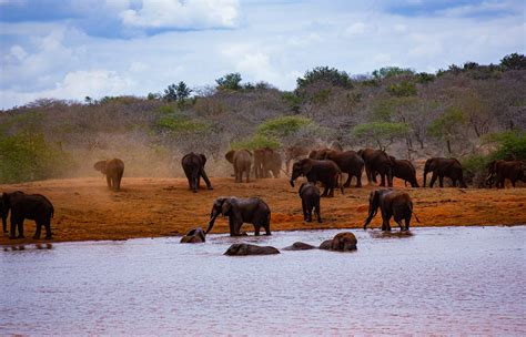 TSAVO NATIONAL PARK - Turkana Wildlife Safaris
