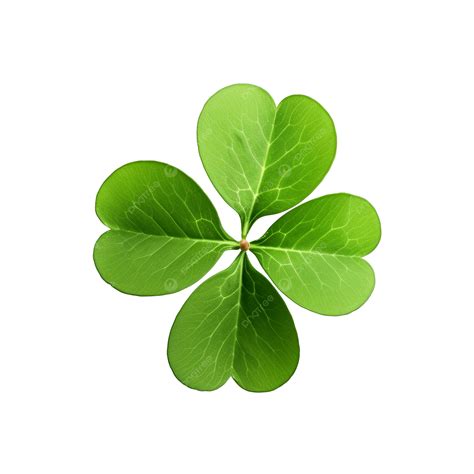 Four Leaf Clover, Clover, Leaf, Shamrock PNG Transparent Image and ...