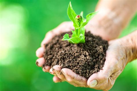 To Conserve Soil Is To Ensure Our Survival | Galápagos Conservancy