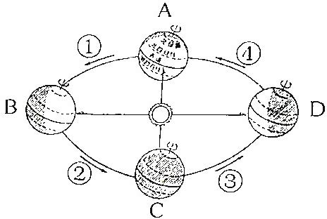 Image result for Memory Game Source Code