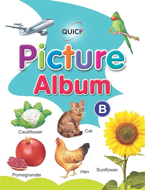 Buy QUICK BOOK INTERNATIONAL Picture Book for Kids Name Numbers Shapes ...