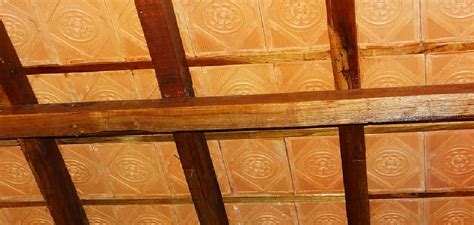 How to Paint Ceiling Tiles | 10 Effective Steps (2025)