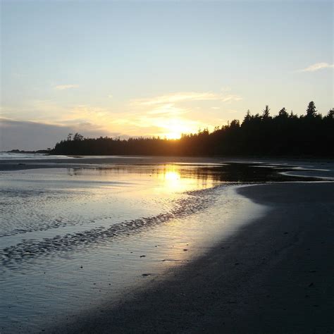 WALK THE WILD SIDE TRAIL - All You Need to Know BEFORE You Go 2026 ...