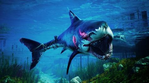 《食人鲨》PS5版评测：来一次R级片式的大快朵颐-Alipaygame.COM