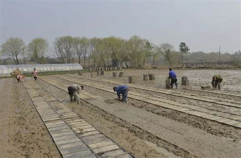 全市农业春耕生产工作推进会在汉阴召开-汉阴县人民政府