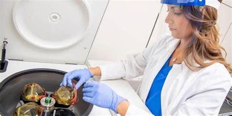 Food Science Courses 的图像结果