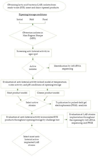 Foods | Special Issue : Biotechnology Approaches in Food Preservation ...
