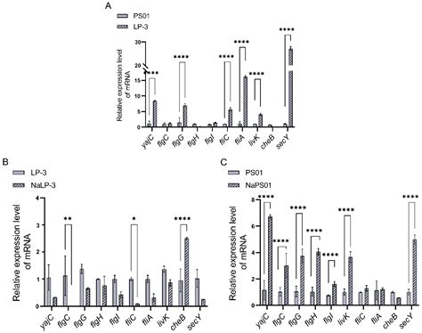 Transcriptome Analysis Reveals the Molecular Mechanism of Pseudomonas ...