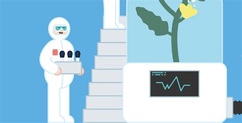 Extraction Lab 的图像结果