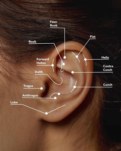 Ear Piercings Pain Diagram