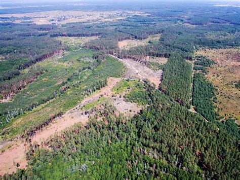 Human Impact On the Environment 的图像结果