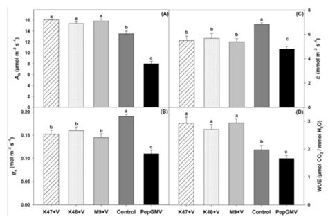 Healthy Photosynthetic Mechanism Suggests ISR Elicited by Bacillus spp ...