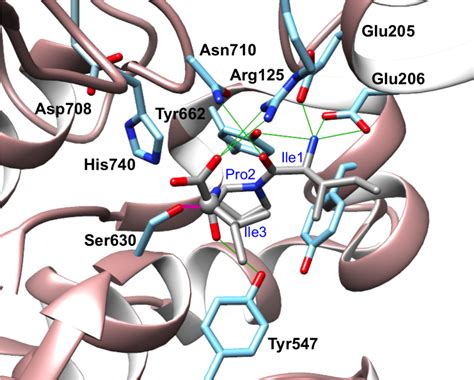 Image result for Tutorial How to Use DPP-4