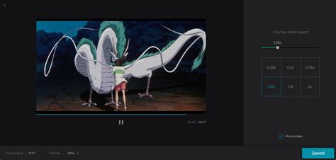 Image result for Video Speed Control