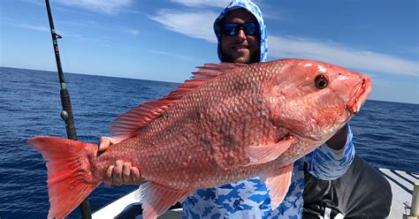 Image result for How to Catch Red Snapper