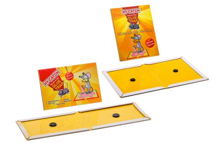 Ecosafe Pest Management Mumbai – Ecosafe HQ