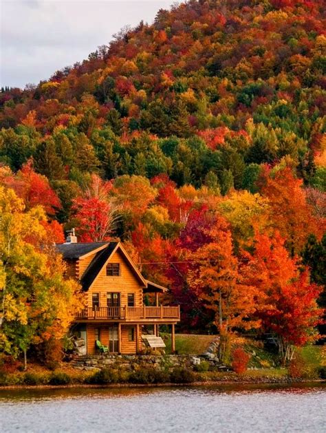 Image result for Fall Scenes Beautiful Nature