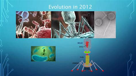 Evolution of Computer Viruses 的图像结果