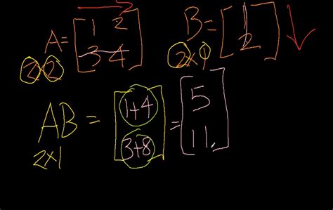 Image result for Vector/Matrix