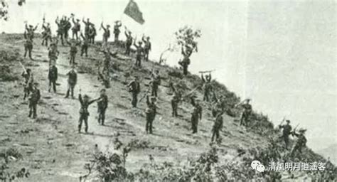 老山战场的上甘岭，67军595团惨败211高地