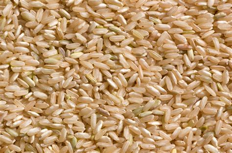 New Jersey Grown Long Grain Brown Rice - Blue Moon Acres