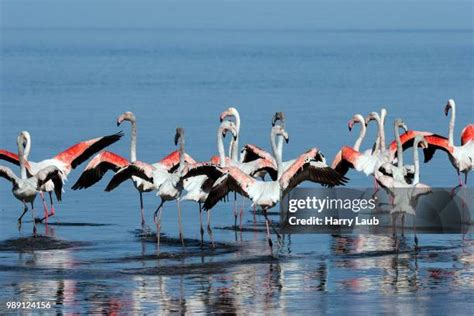Image result for Text Normalization NLP