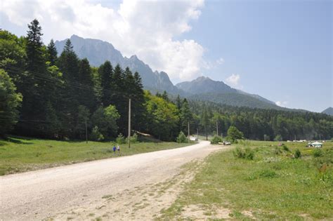 Valea Cerbului